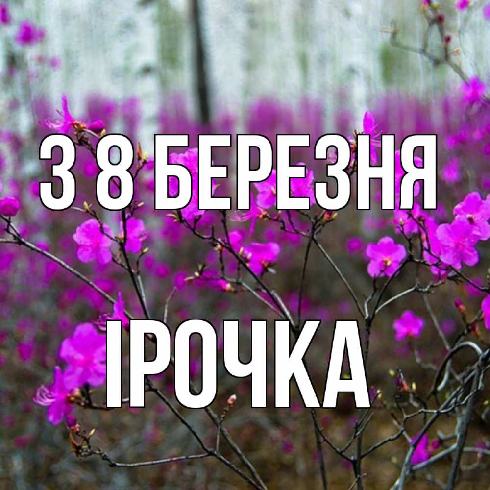Открытка на каждый день з підписом, Ірочка З 8 БЕРЕЗНЯ дикие цветы Прикольна листівка з побажанням онлайн скачати безкоштовно 