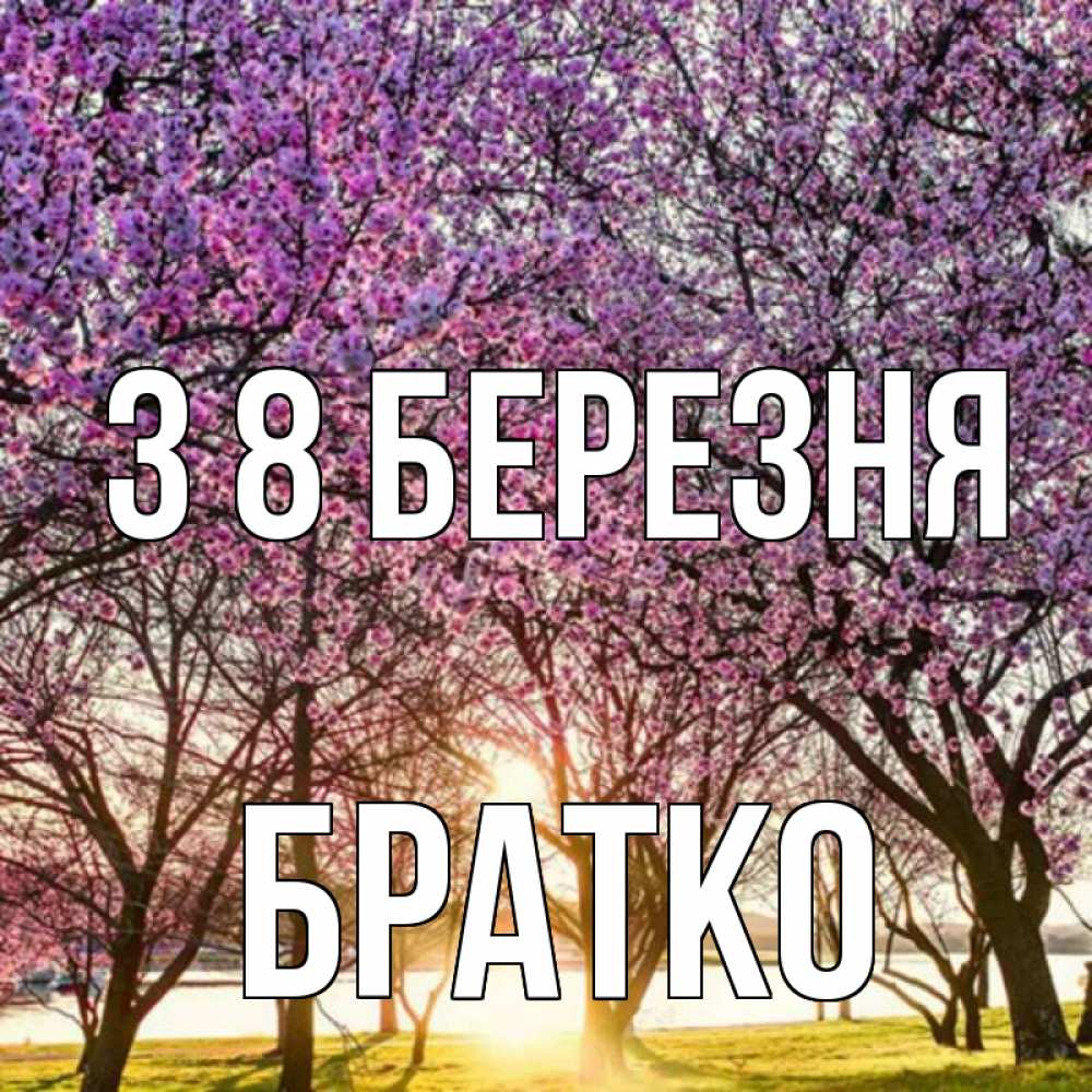 Открытка на каждый день з підписом, Братко З 8 БЕРЕЗНЯ международный женский день Прикольна листівка з побажанням онлайн скачати безкоштовно 