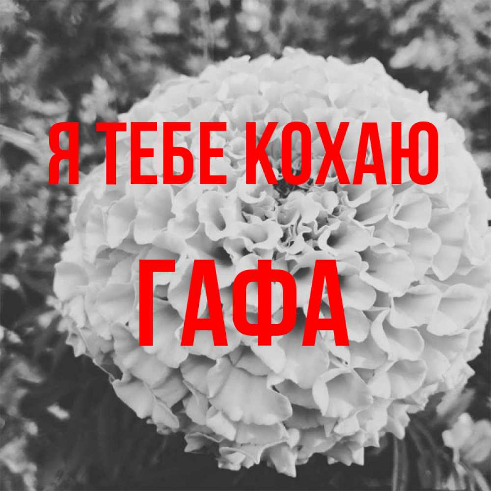 Открытка на каждый день з підписом, Гафа Я тебе кохаю подпись Прикольна листівка з побажанням онлайн скачати безкоштовно 