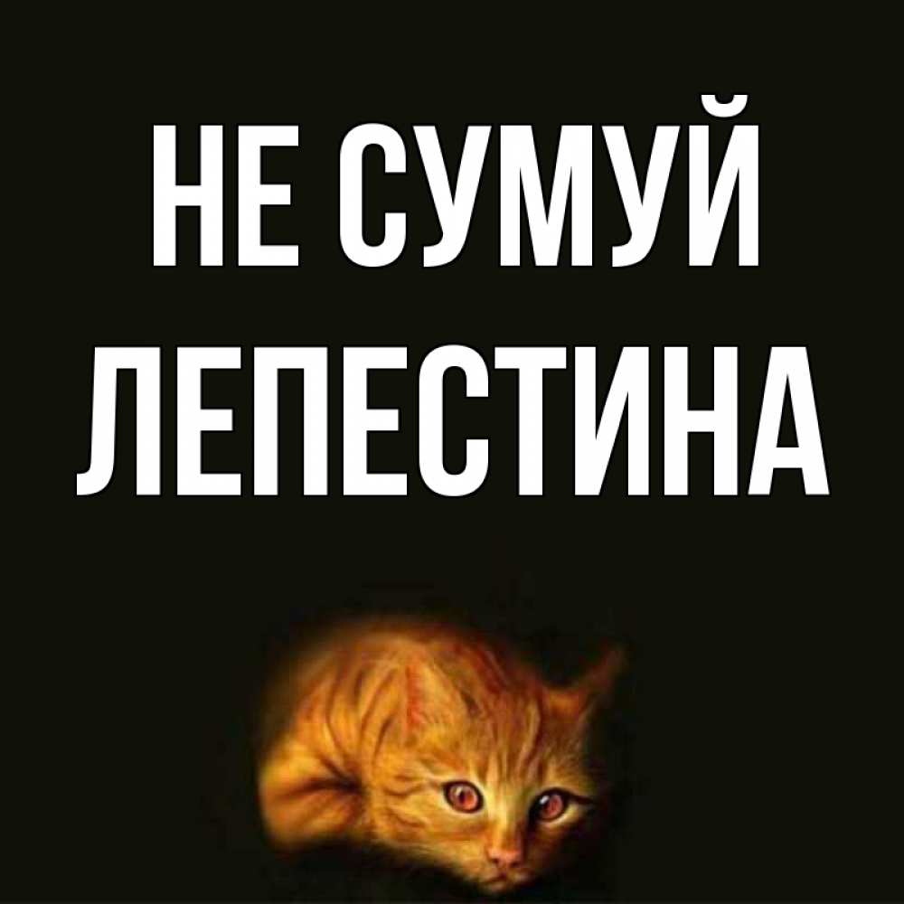 Открытка на каждый день з підписом, Лепестина Не сумуй лежащий кот в темноте Прикольна листівка з побажанням онлайн скачати безкоштовно 