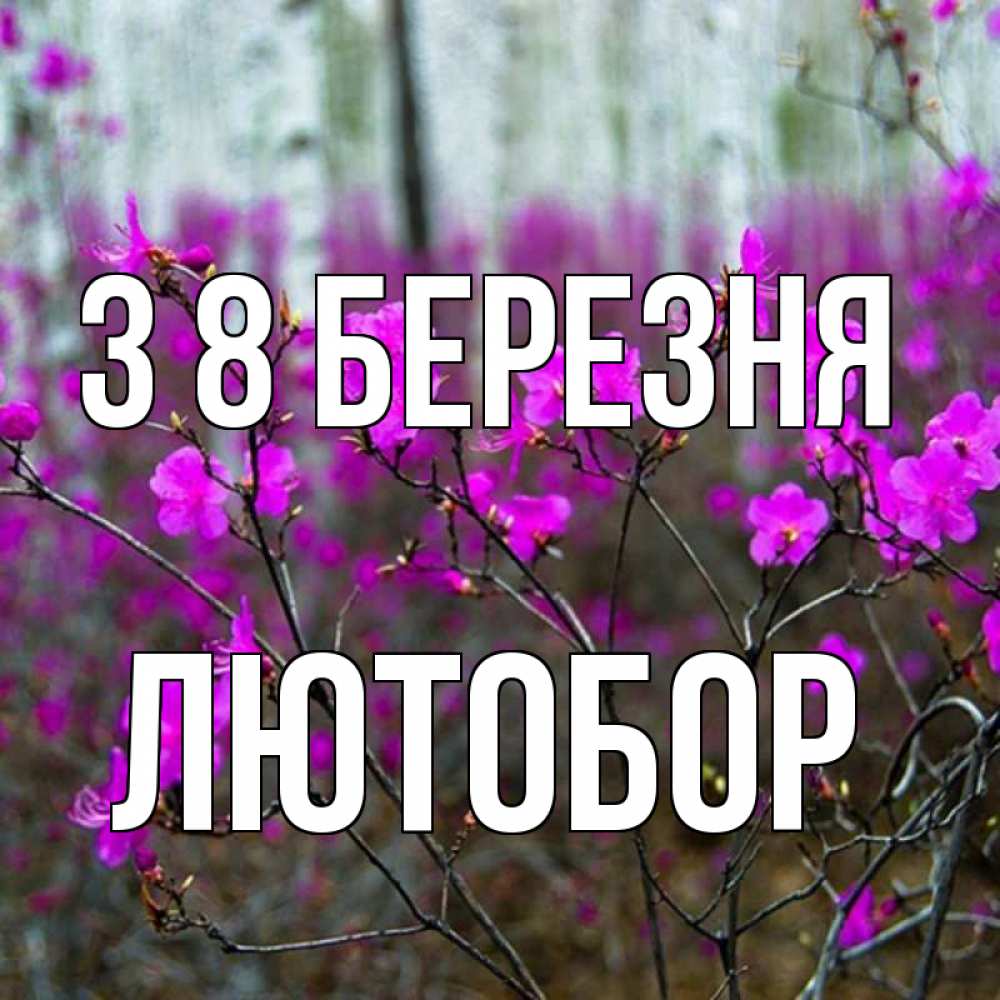Открытка на каждый день з підписом, Лютобор З 8 БЕРЕЗНЯ дикие цветы Прикольна листівка з побажанням онлайн скачати безкоштовно 