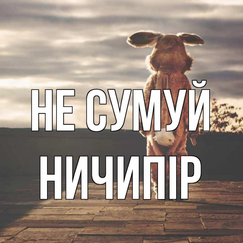 Открытка на каждый день з підписом, Ничипір Не сумуй со спины Прикольна листівка з побажанням онлайн скачати безкоштовно 