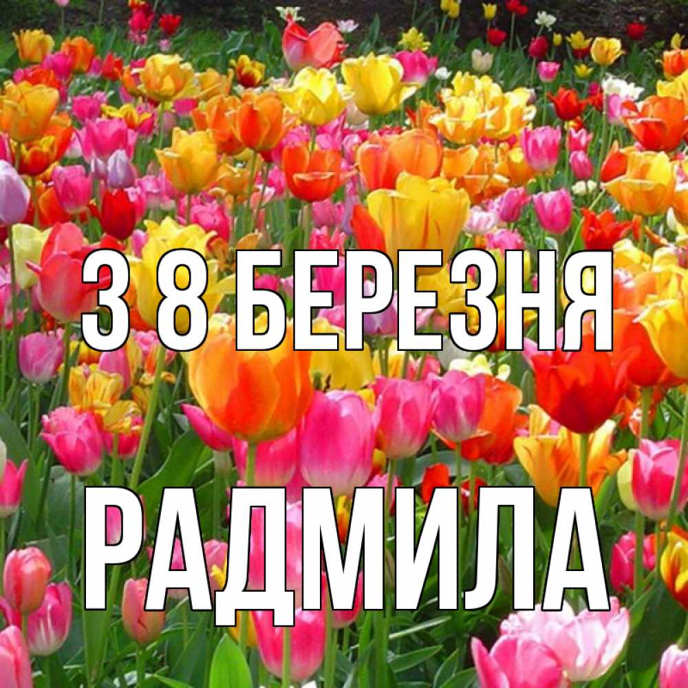 Открытка на каждый день з підписом, Радмила З 8 БЕРЕЗНЯ на международный женский день Прикольна листівка з побажанням онлайн скачати безкоштовно 