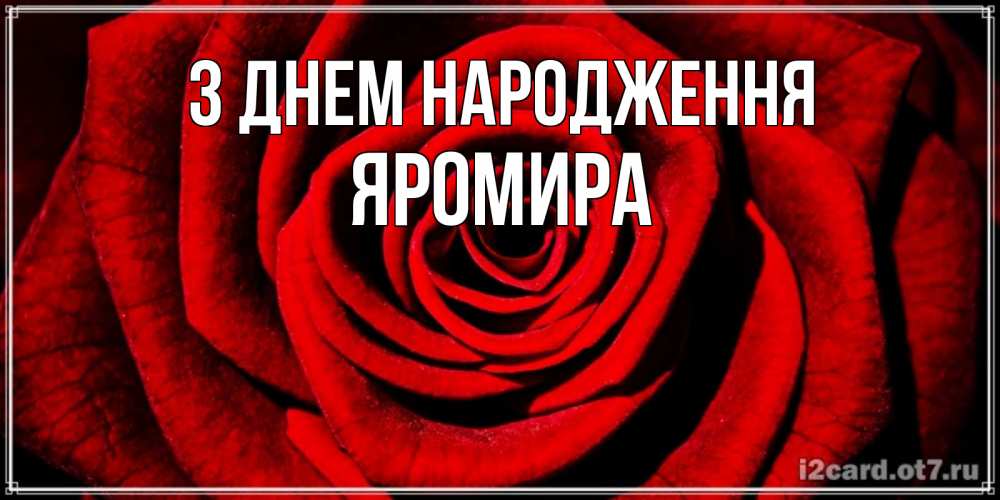 Открытка на каждый день з підписом, Яромира З Днем народження алая роза Прикольна листівка з побажанням онлайн скачати безкоштовно 