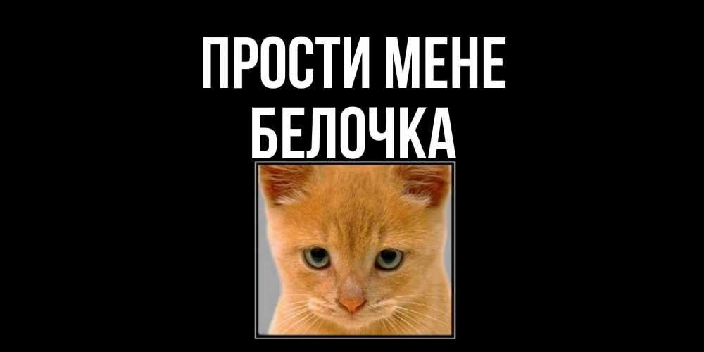 Открытка на каждый день з підписом, Белочка Прости мене рыжий грустный кот просит прощения Прикольна листівка з побажанням онлайн скачати безкоштовно 
