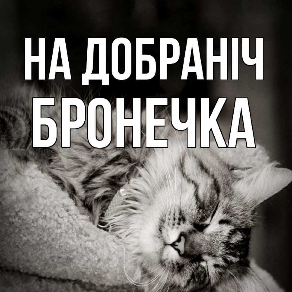 Открытка на каждый день з підписом, Бронечка На добраніч котярик пушистый Прикольна листівка з побажанням онлайн скачати безкоштовно 