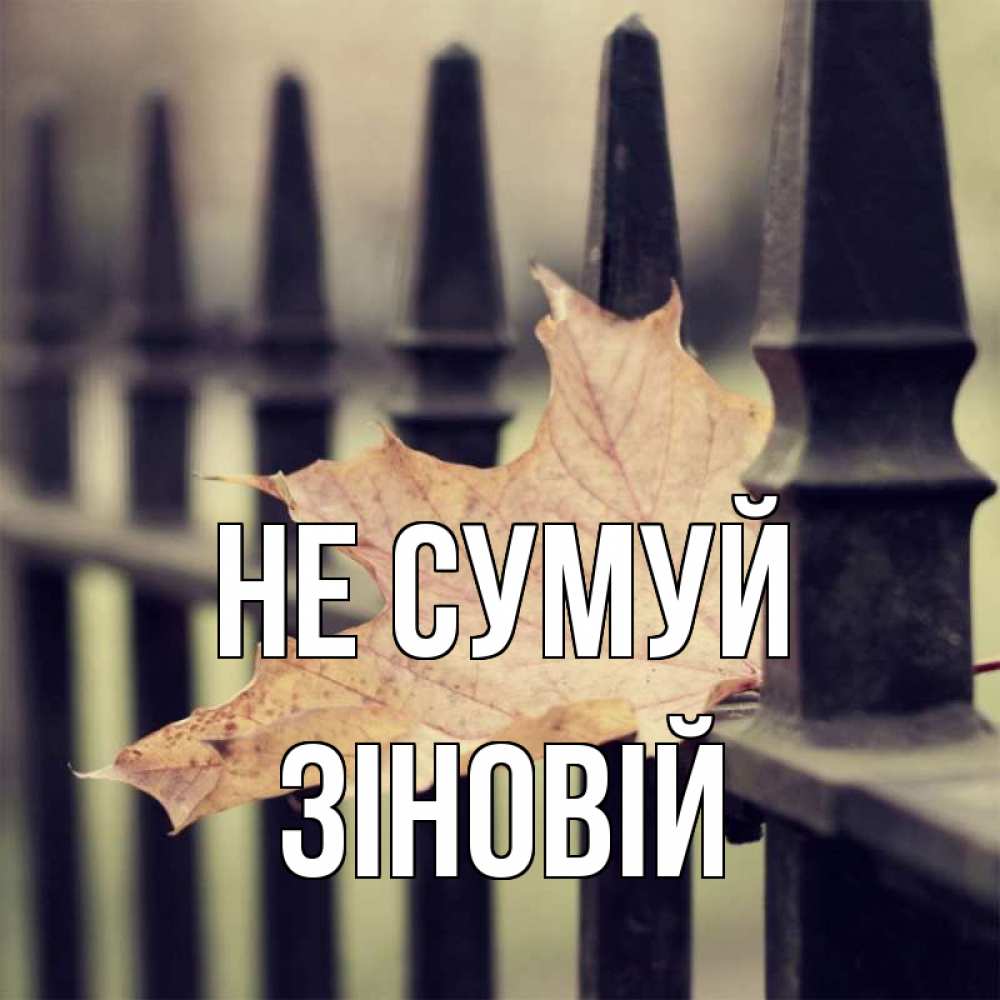Открытка на каждый день з підписом, Зіновій Не сумуй лист клена Прикольна листівка з побажанням онлайн скачати безкоштовно 