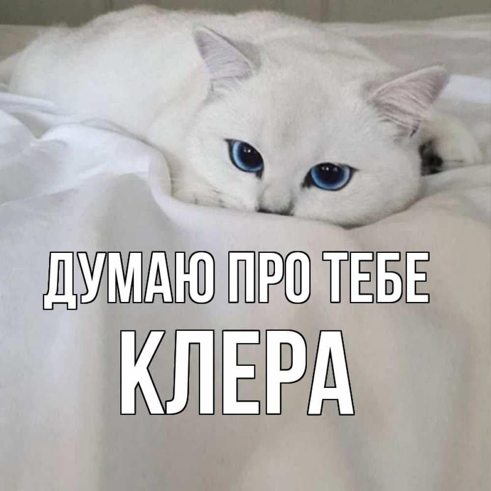 Открытка на каждый день з підписом, Клера Думаю про тебе я очень по тебе скучаю и тоскую Прикольна листівка з побажанням онлайн скачати безкоштовно 