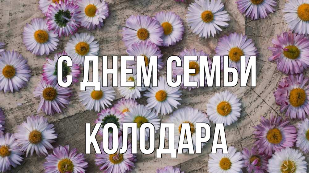 Открытка на каждый день з підписом, Колодара С днем семьи с днем семьи Прикольна листівка з побажанням онлайн скачати безкоштовно 