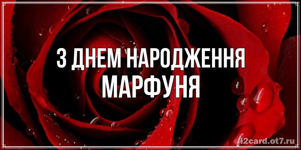 Открытка на каждый день з підписом, Марфуня З Днем народження крупная бордовая роза Прикольна листівка з побажанням онлайн скачати безкоштовно 