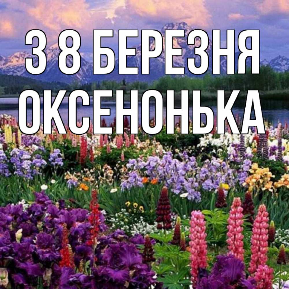 Открытка на каждый день з підписом, Оксенонька З 8 БЕРЕЗНЯ международный женский день Прикольна листівка з побажанням онлайн скачати безкоштовно 