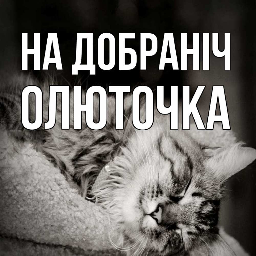 Открытка на каждый день з підписом, Олюточка На добраніч котярик пушистый Прикольна листівка з побажанням онлайн скачати безкоштовно 