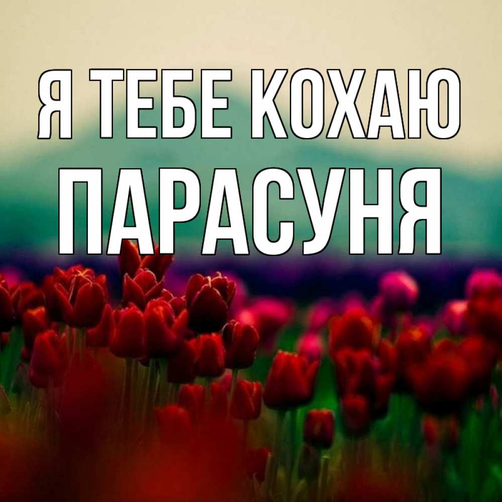 Открытка на каждый день з підписом, Парасуня Я тебе кохаю тюльпаны 4 Прикольна листівка з побажанням онлайн скачати безкоштовно 