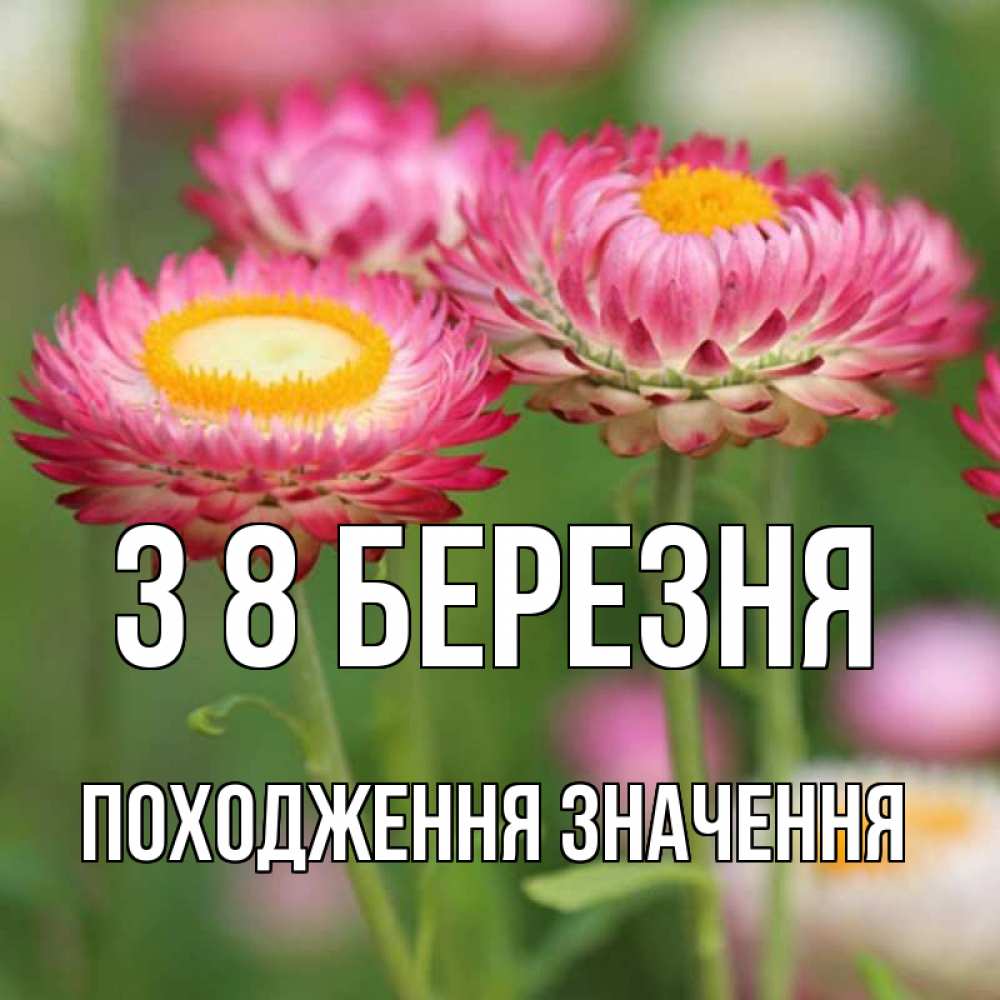 Открытка на каждый день з підписом, Походження,-значення З 8 БЕРЕЗНЯ подарок на международный женский день Прикольна листівка з побажанням онлайн скачати безкоштовно 