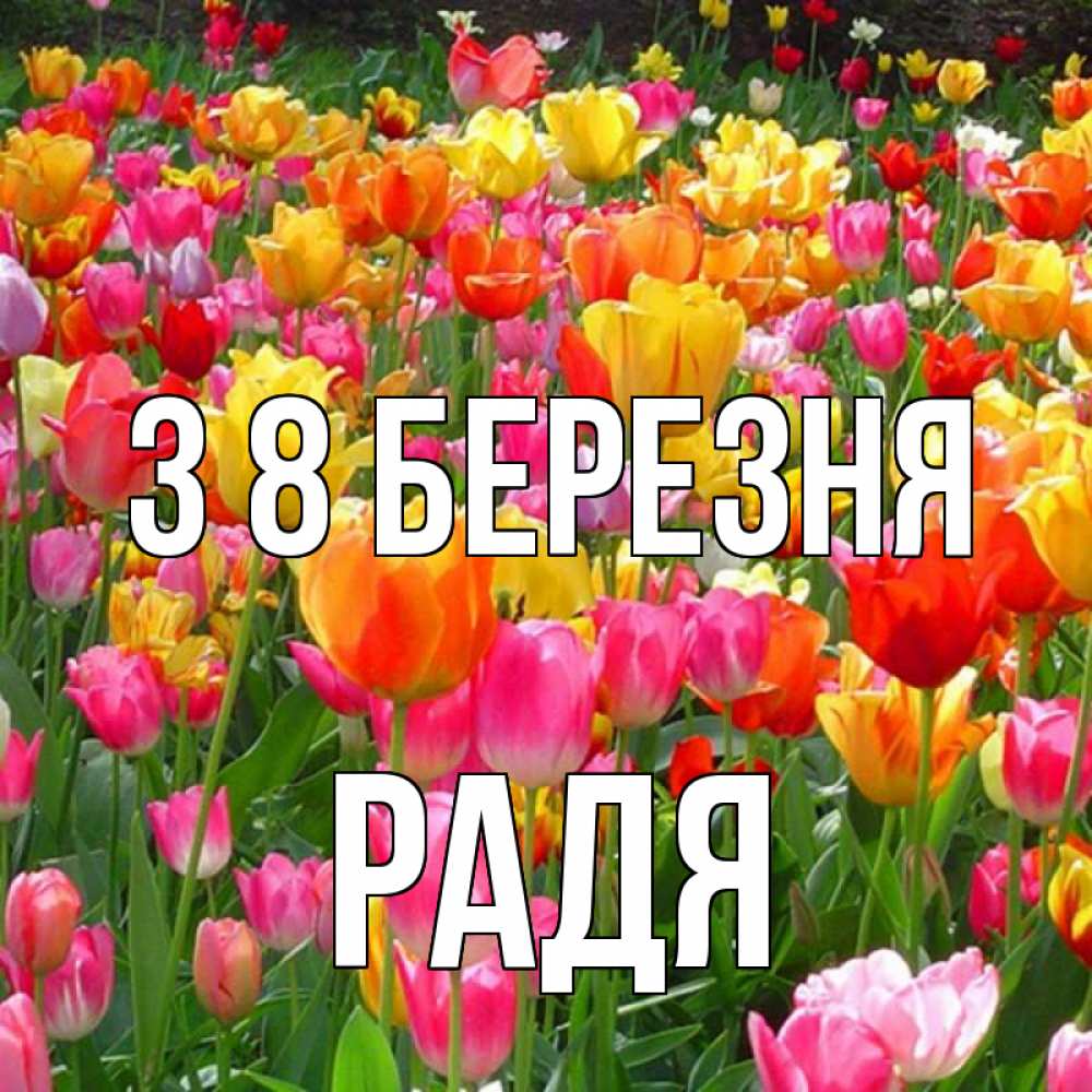Открытка на каждый день з підписом, Радя З 8 БЕРЕЗНЯ на международный женский день Прикольна листівка з побажанням онлайн скачати безкоштовно 