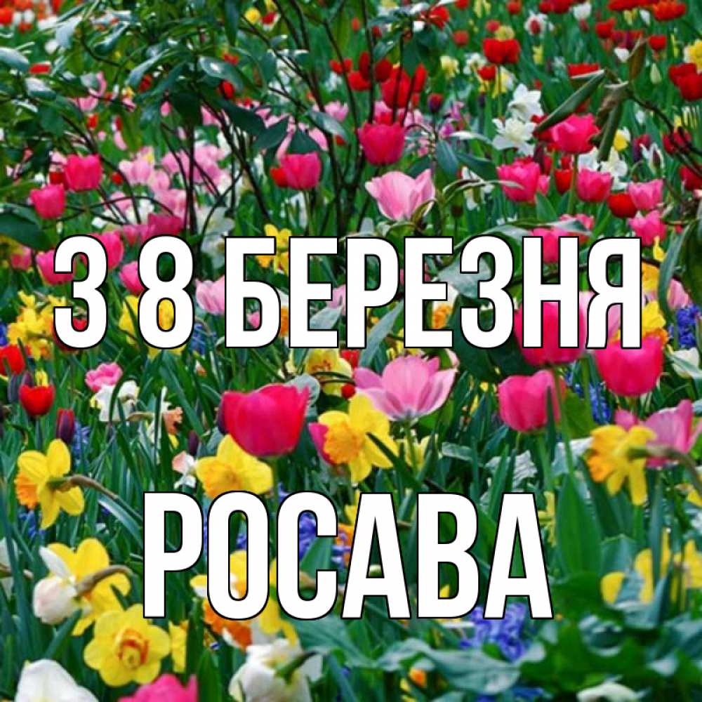 Открытка на каждый день з підписом, Росава З 8 БЕРЕЗНЯ с международным женским днем поздравления для женщины Прикольна листівка з побажанням онлайн скачати безкоштовно 