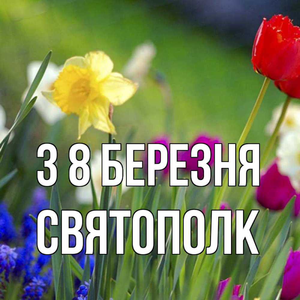 Открытка на каждый день з підписом, Святополк З 8 БЕРЕЗНЯ международный женский день 3 Прикольна листівка з побажанням онлайн скачати безкоштовно 