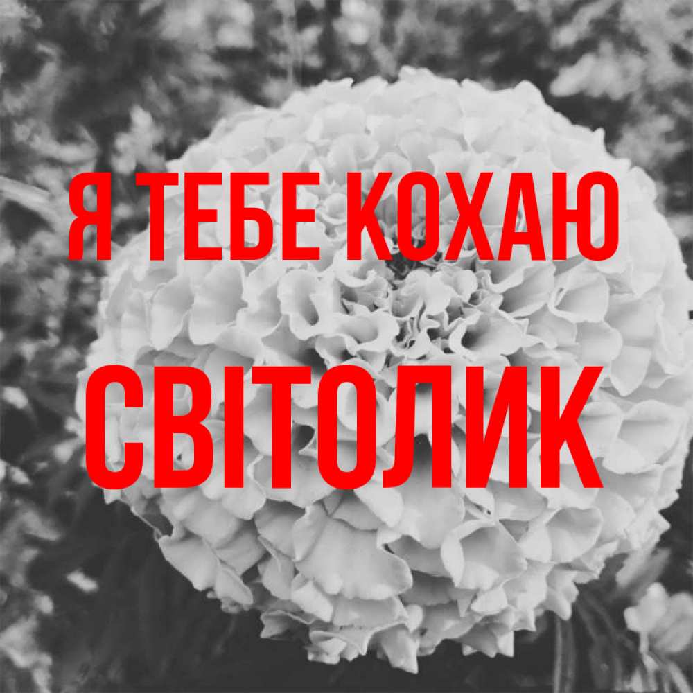 Открытка на каждый день з підписом, Світолик Я тебе кохаю подпись Прикольна листівка з побажанням онлайн скачати безкоштовно 
