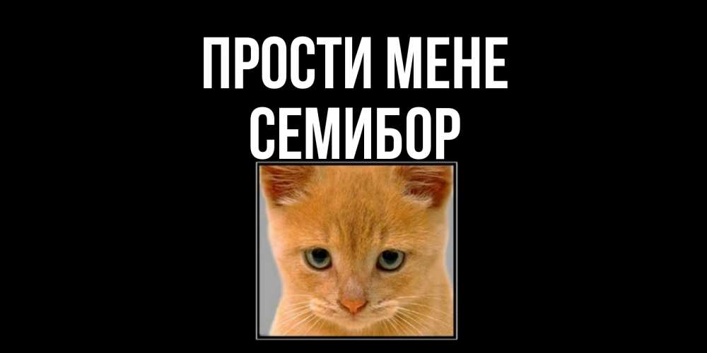 Открытка на каждый день з підписом, Семибор Прости мене рыжий грустный кот просит прощения Прикольна листівка з побажанням онлайн скачати безкоштовно 