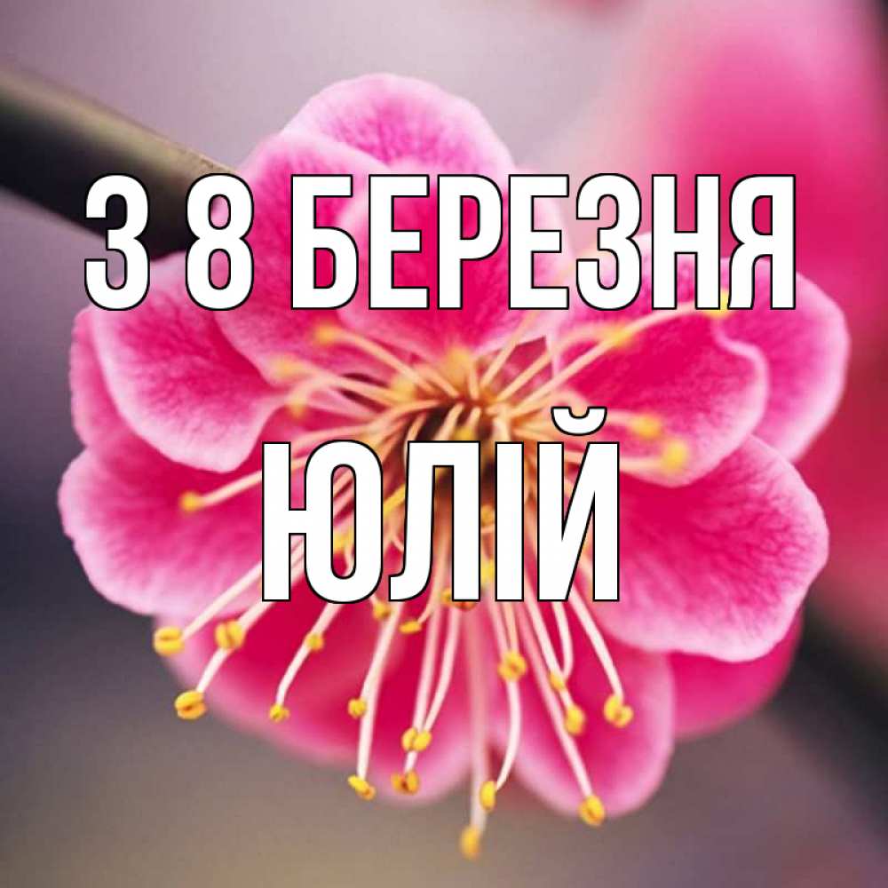 Открытка на каждый день з підписом, Юлій З 8 БЕРЕЗНЯ цветы Прикольна листівка з побажанням онлайн скачати безкоштовно 