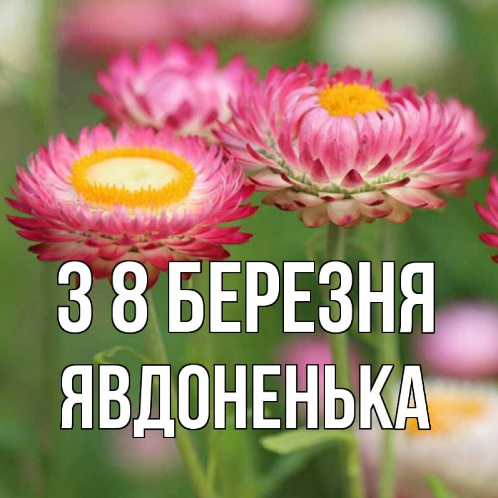 Открытка на каждый день з підписом, Явдоненька З 8 БЕРЕЗНЯ подарок на международный женский день Прикольна листівка з побажанням онлайн скачати безкоштовно 