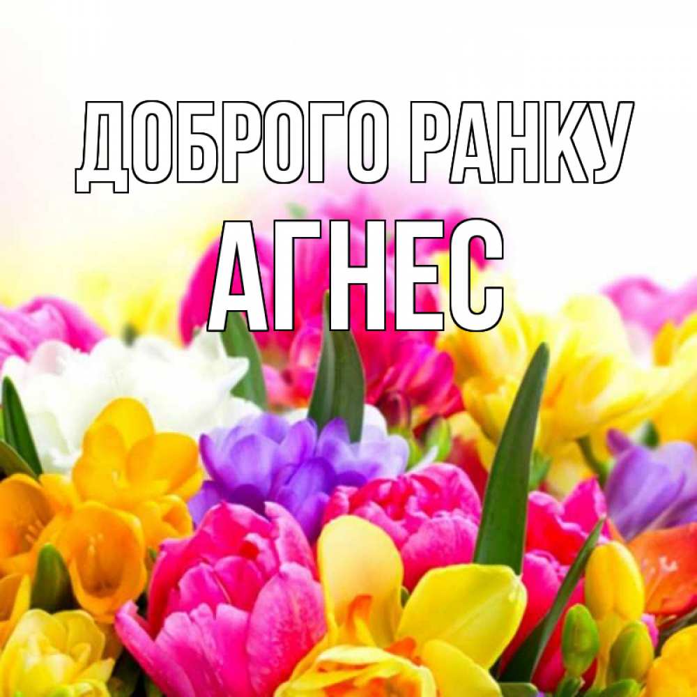 Открытка на каждый день з підписом, Агнес Доброго ранку создать открытку со свое подписью Прикольна листівка з побажанням онлайн скачати безкоштовно 