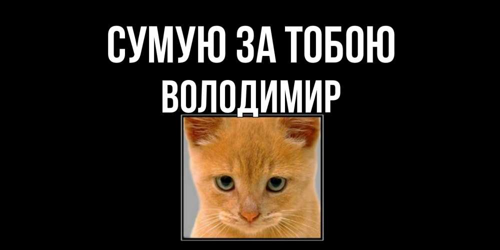 Открытка на каждый день з підписом, Володимир Сумую за тобою открытки рыжий котенок скучает по тебе Прикольна листівка з побажанням онлайн скачати безкоштовно 