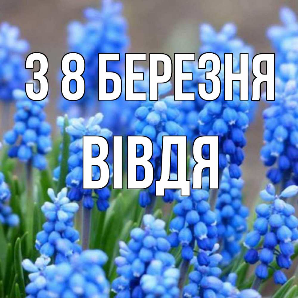 Открытка на каждый день з підписом, Вівдя З 8 БЕРЕЗНЯ Поздравительная открытка для женщин с цветами на праздничную дату Прикольна листівка з побажанням онлайн скачати безкоштовно 