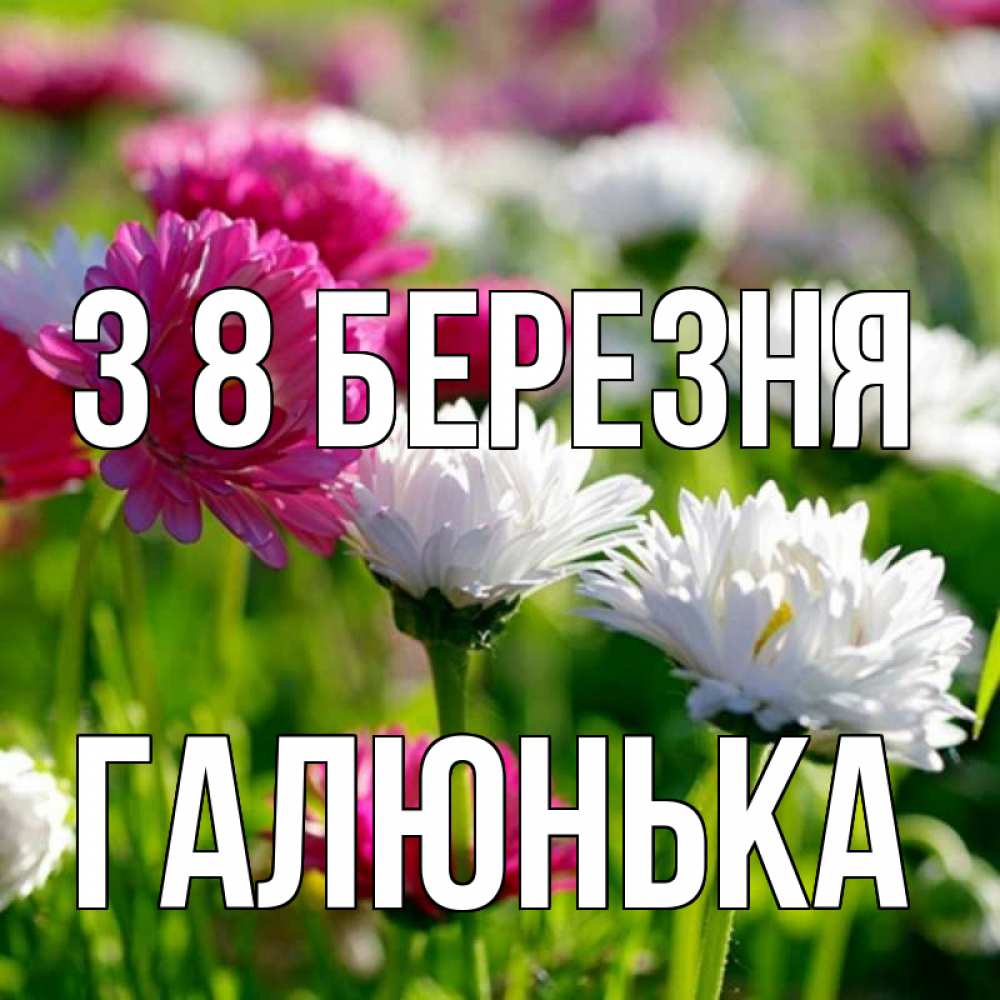 Открытка на каждый день з підписом, Галюнька З 8 БЕРЕЗНЯ международный женский день 1 Прикольна листівка з побажанням онлайн скачати безкоштовно 
