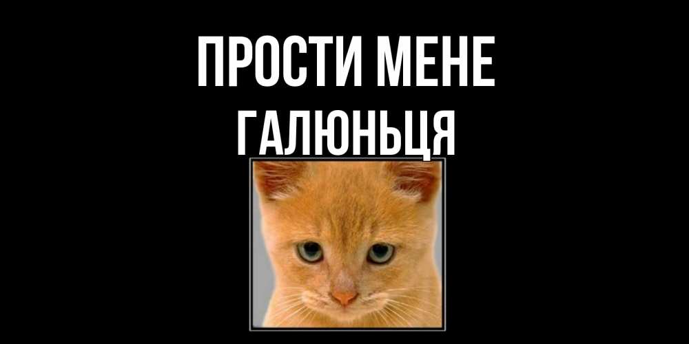 Открытка на каждый день з підписом, Галюньця Прости мене рыжий грустный кот просит прощения Прикольна листівка з побажанням онлайн скачати безкоштовно 