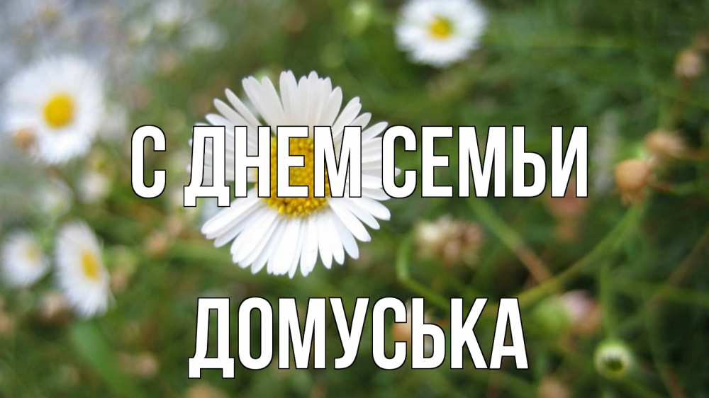Открытка на каждый день з підписом, Домуська С днем семьи с днем семьи Прикольна листівка з побажанням онлайн скачати безкоштовно 