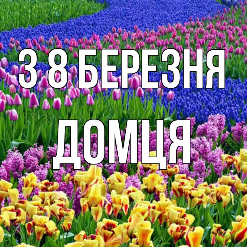 Открытка на каждый день з підписом, Домця З 8 БЕРЕЗНЯ цветы Прикольна листівка з побажанням онлайн скачати безкоштовно 