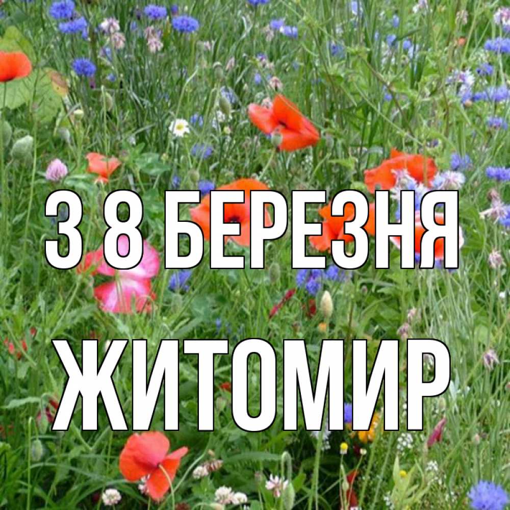 Открытка на каждый день з підписом, Житомир З 8 БЕРЕЗНЯ международный женский день 4 Прикольна листівка з побажанням онлайн скачати безкоштовно 