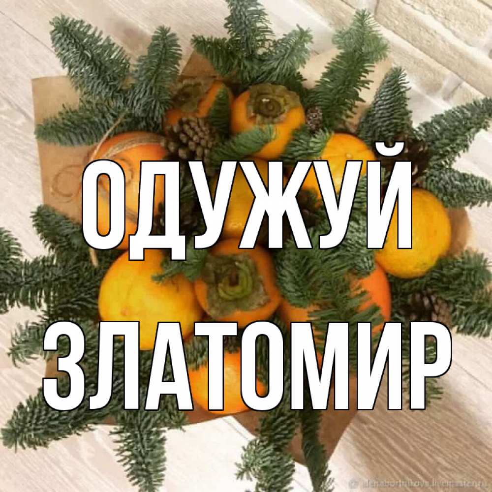 Открытка на каждый день з підписом, Златомир Одужуй апельсины и хурьма Прикольна листівка з побажанням онлайн скачати безкоштовно 