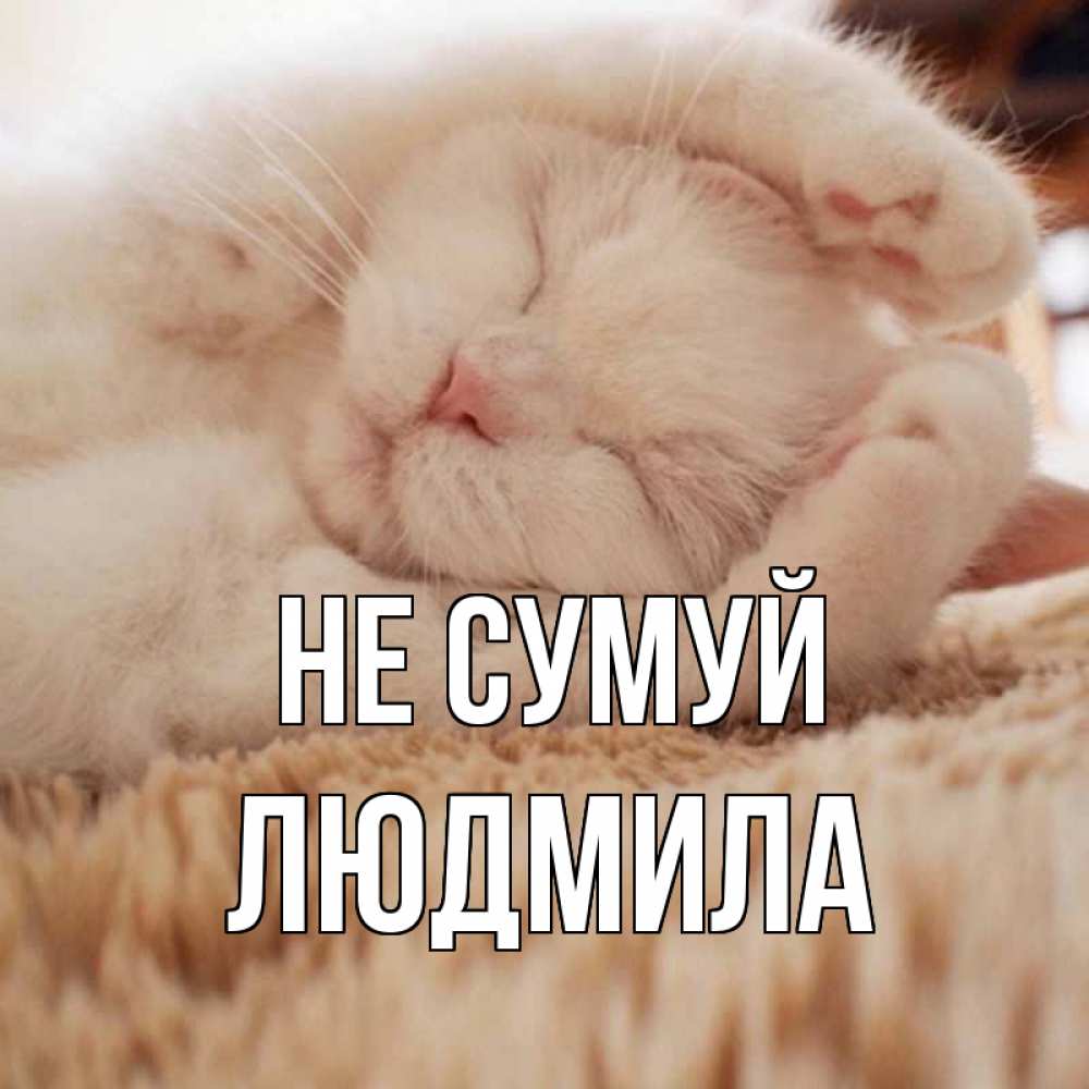 Открытка на каждый день з підписом, Людмила Не сумуй белый кот Прикольна листівка з побажанням онлайн скачати безкоштовно 