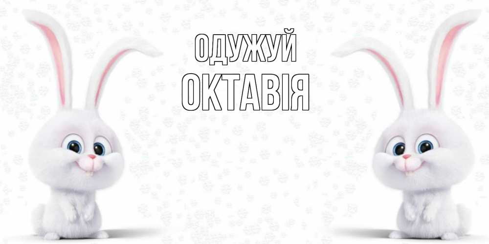 Открытка на каждый день з підписом, Октавія Одужуй не болей с зайцем Прикольна листівка з побажанням онлайн скачати безкоштовно 