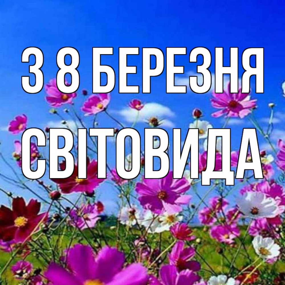 Открытка на каждый день з підписом, Світовида З 8 БЕРЕЗНЯ цветы Прикольна листівка з побажанням онлайн скачати безкоштовно 