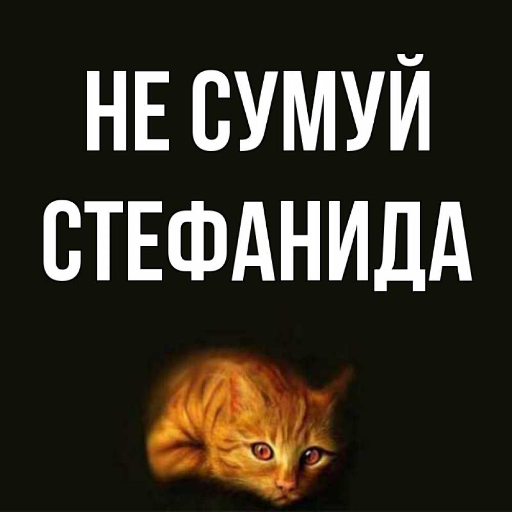 Открытка на каждый день з підписом, Стефанида Не сумуй лежащий кот в темноте Прикольна листівка з побажанням онлайн скачати безкоштовно 