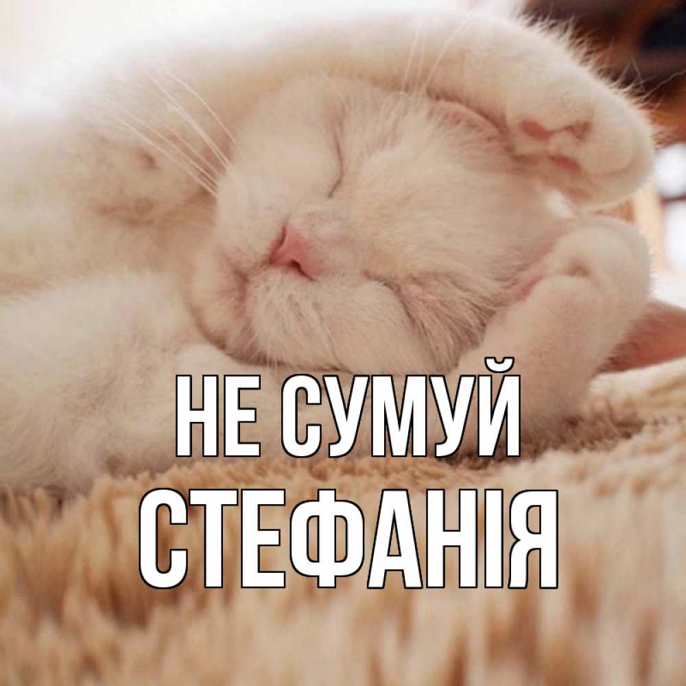 Открытка на каждый день з підписом, Стефанія Не сумуй белый кот Прикольна листівка з побажанням онлайн скачати безкоштовно 