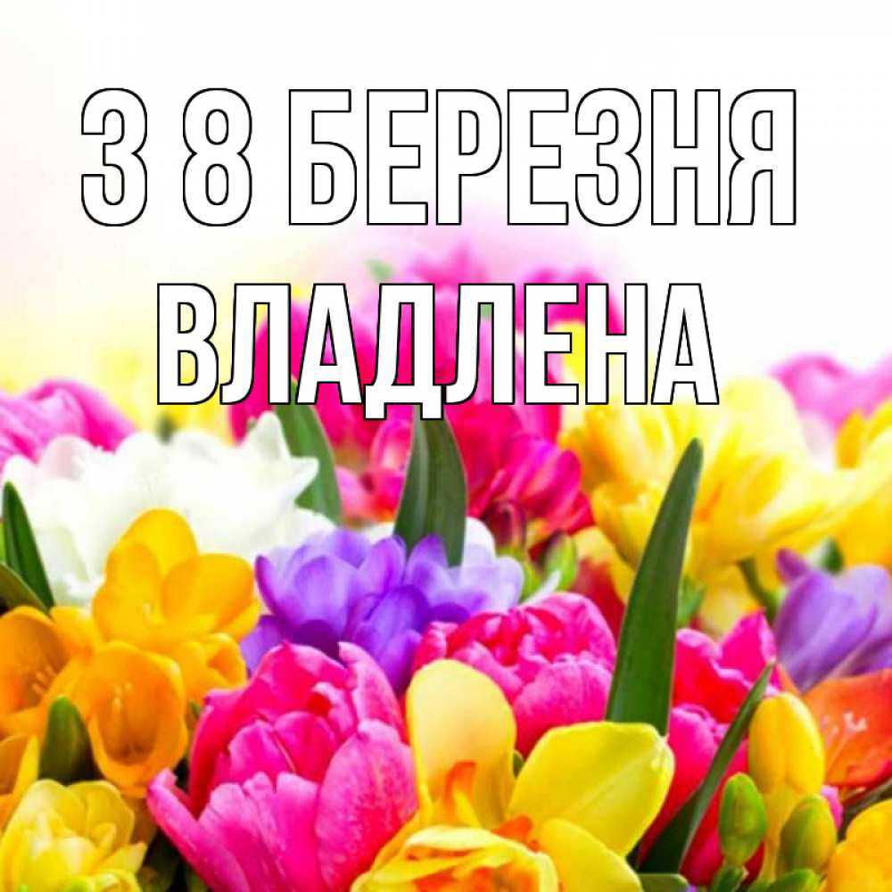 Открытка на каждый день з підписом, Владлена З 8 БЕРЕЗНЯ тюльпаны Прикольна листівка з побажанням онлайн скачати безкоштовно 
