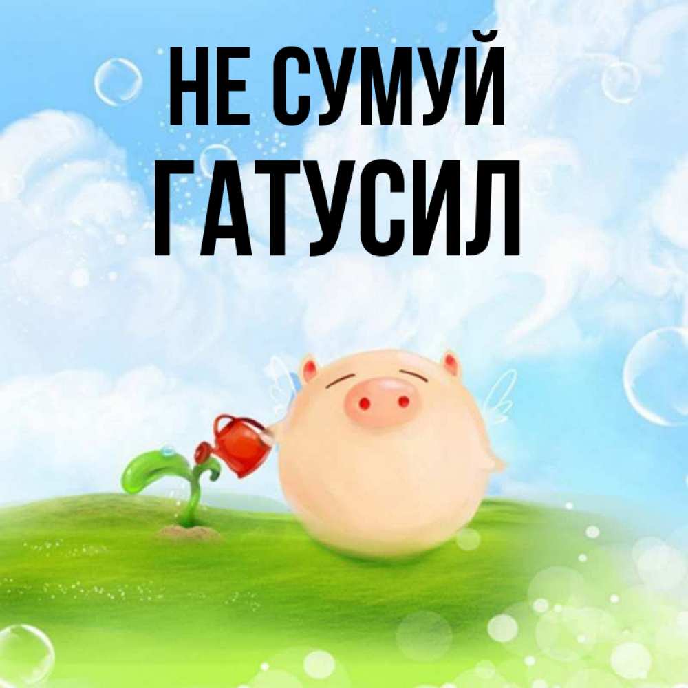 Открытка на каждый день з підписом, Гатусил Не сумуй поливает цветок порося Прикольна листівка з побажанням онлайн скачати безкоштовно 