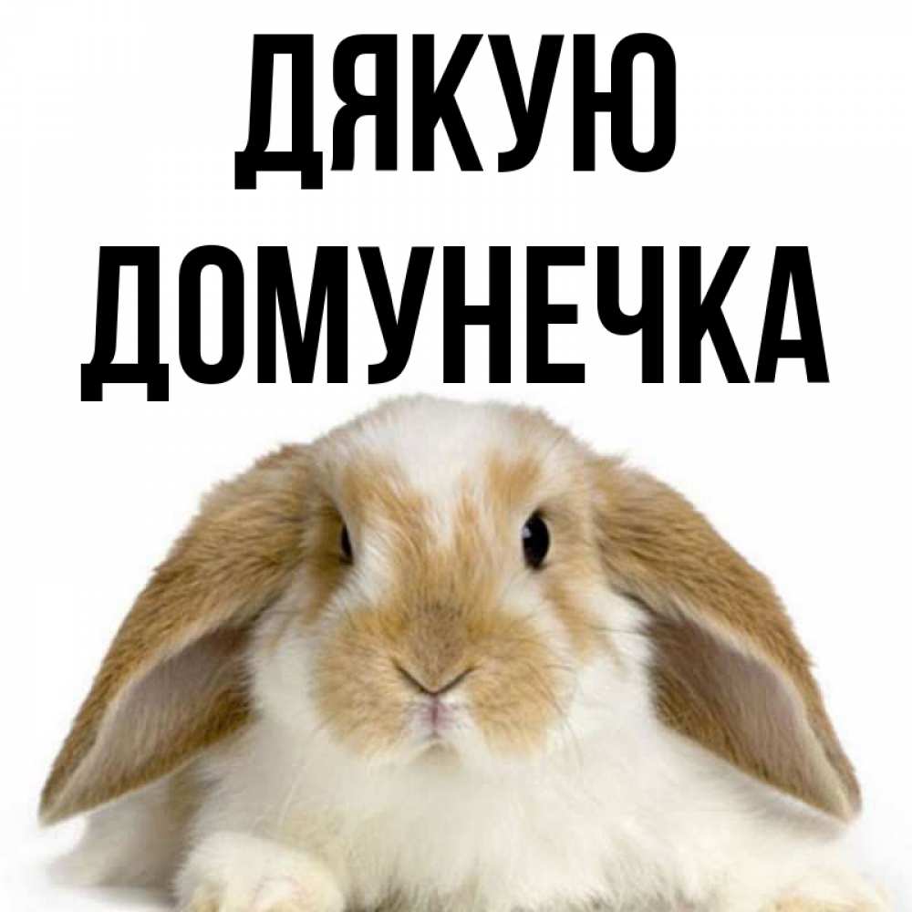 Открытка на каждый день з підписом, Домунечка Дякую коричнево белый заяц Прикольна листівка з побажанням онлайн скачати безкоштовно 