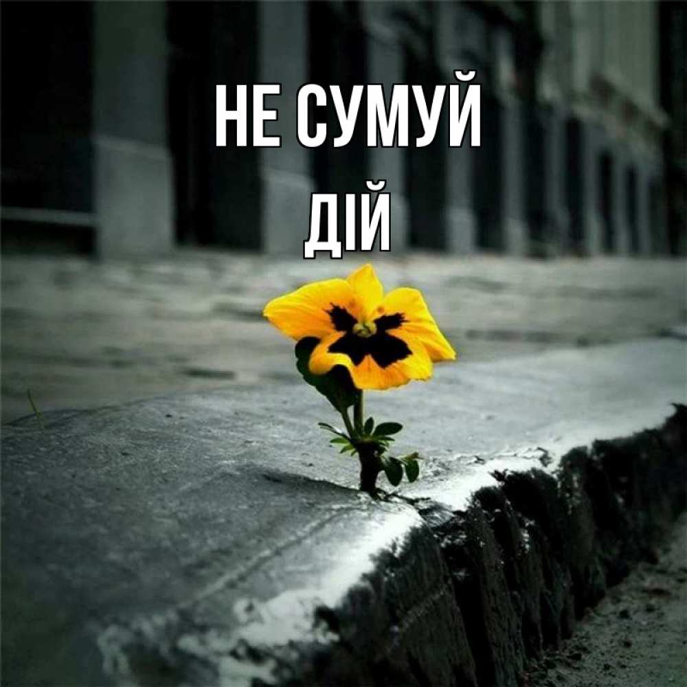 Открытка на каждый день з підписом, Дій Не сумуй не сдавайся Прикольна листівка з побажанням онлайн скачати безкоштовно 