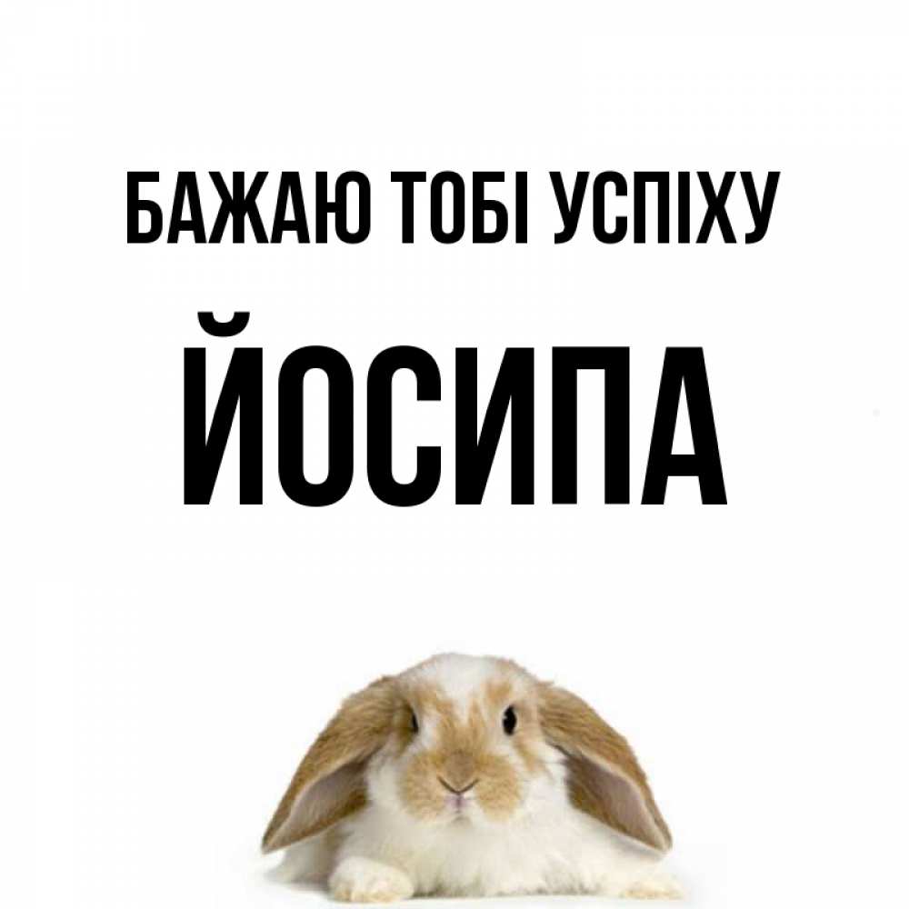 Открытка на каждый день з підписом, Йосипа Бажаю тобі успіху открытки с произвольным текстом который можно вставить в открытку и создать ее самостоятельно бесплатно онлайн Прикольна листівка з побажанням онлайн скачати безкоштовно 