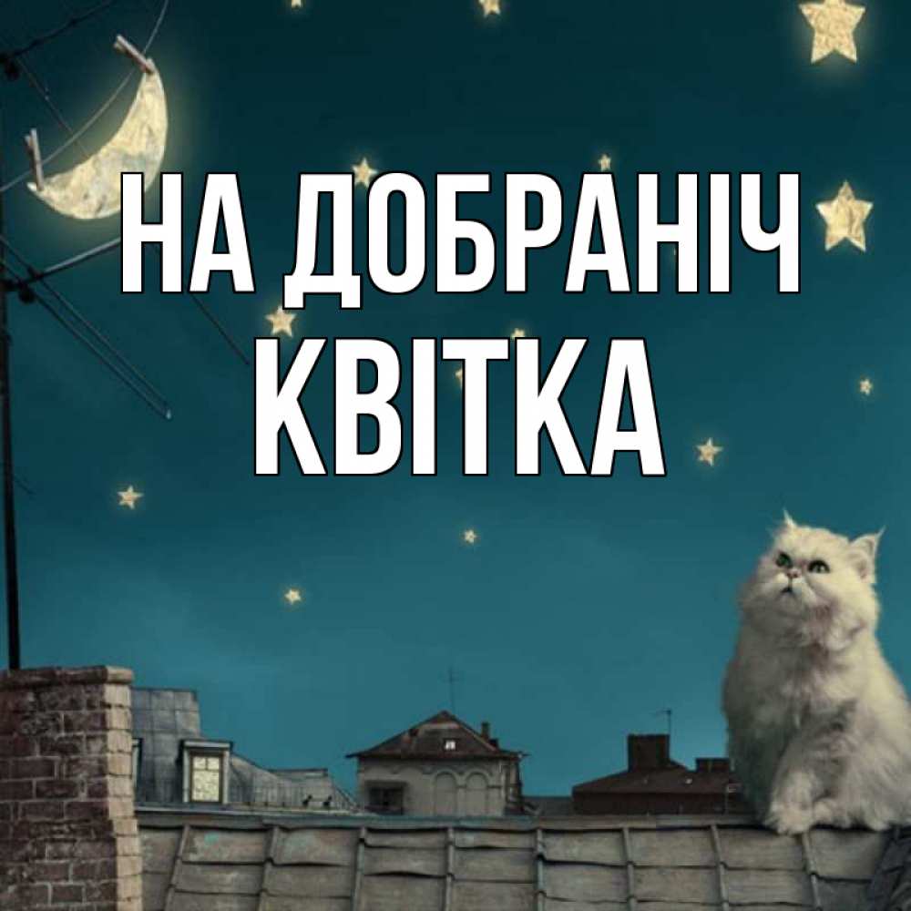 Открытка на каждый день з підписом, Квітка На добраніч белый кот сидит на крыше Прикольна листівка з побажанням онлайн скачати безкоштовно 