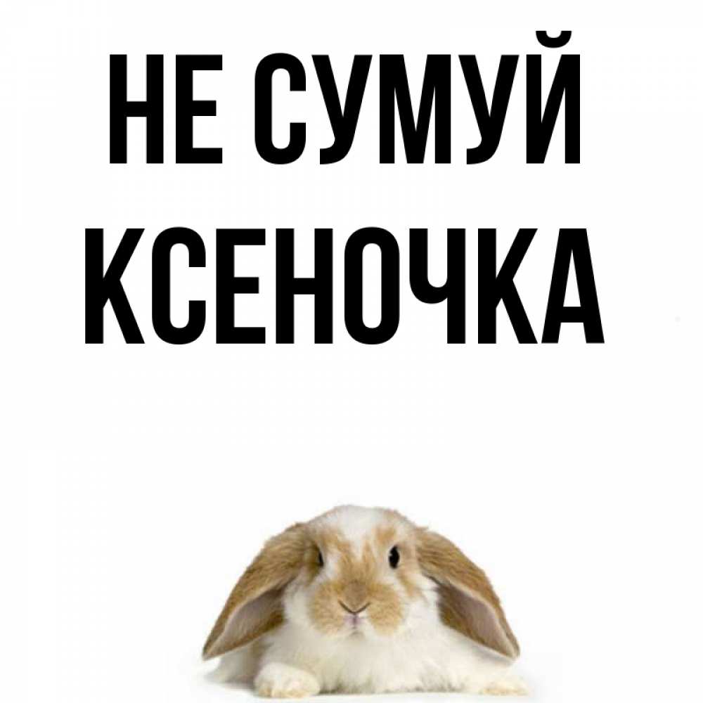 Открытка на каждый день з підписом, Ксеночка Не сумуй коричнево белый заяц с большими ушками Прикольна листівка з побажанням онлайн скачати безкоштовно 