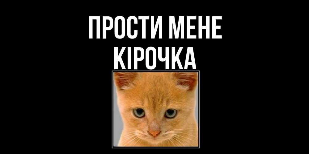 Открытка на каждый день з підписом, Кірочка Прости мене рыжий грустный кот просит прощения Прикольна листівка з побажанням онлайн скачати безкоштовно 