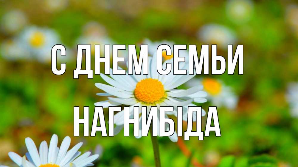 Открытка на каждый день з підписом, Нагнибіда С днем семьи с днем семьи Прикольна листівка з побажанням онлайн скачати безкоштовно 