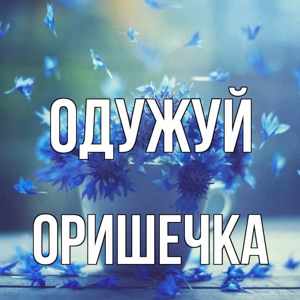 Открытка на каждый день з підписом, Оришечка Одужуй кружка с зельем и цветами Прикольна листівка з побажанням онлайн скачати безкоштовно 