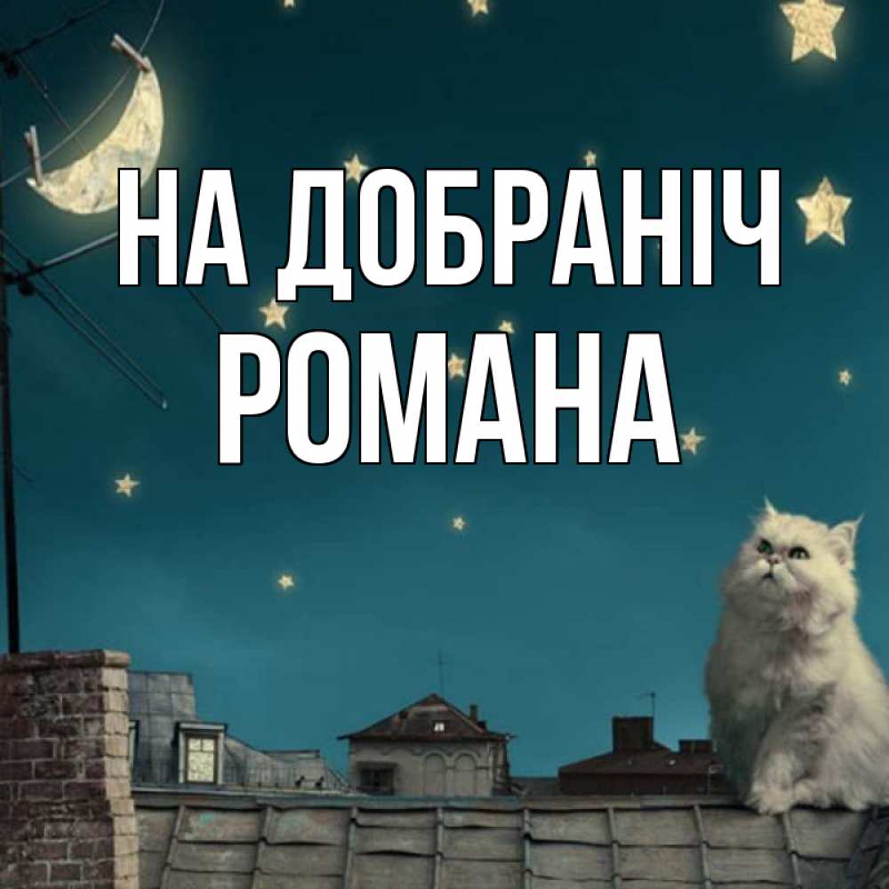 Открытка на каждый день з підписом, Романа На добраніч белый кот сидит на крыше Прикольна листівка з побажанням онлайн скачати безкоштовно 